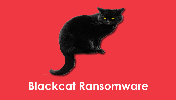 Drivers των Windows  χρησιμοποιούνται σε επιθέσεις ransomware BlackCat