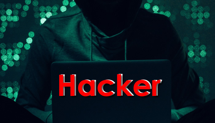 Ο Ρώσος χάκερ πίσω από το κακόβουλο λογισμικό NLBrute εκδόθηκε στις ΗΠΑ